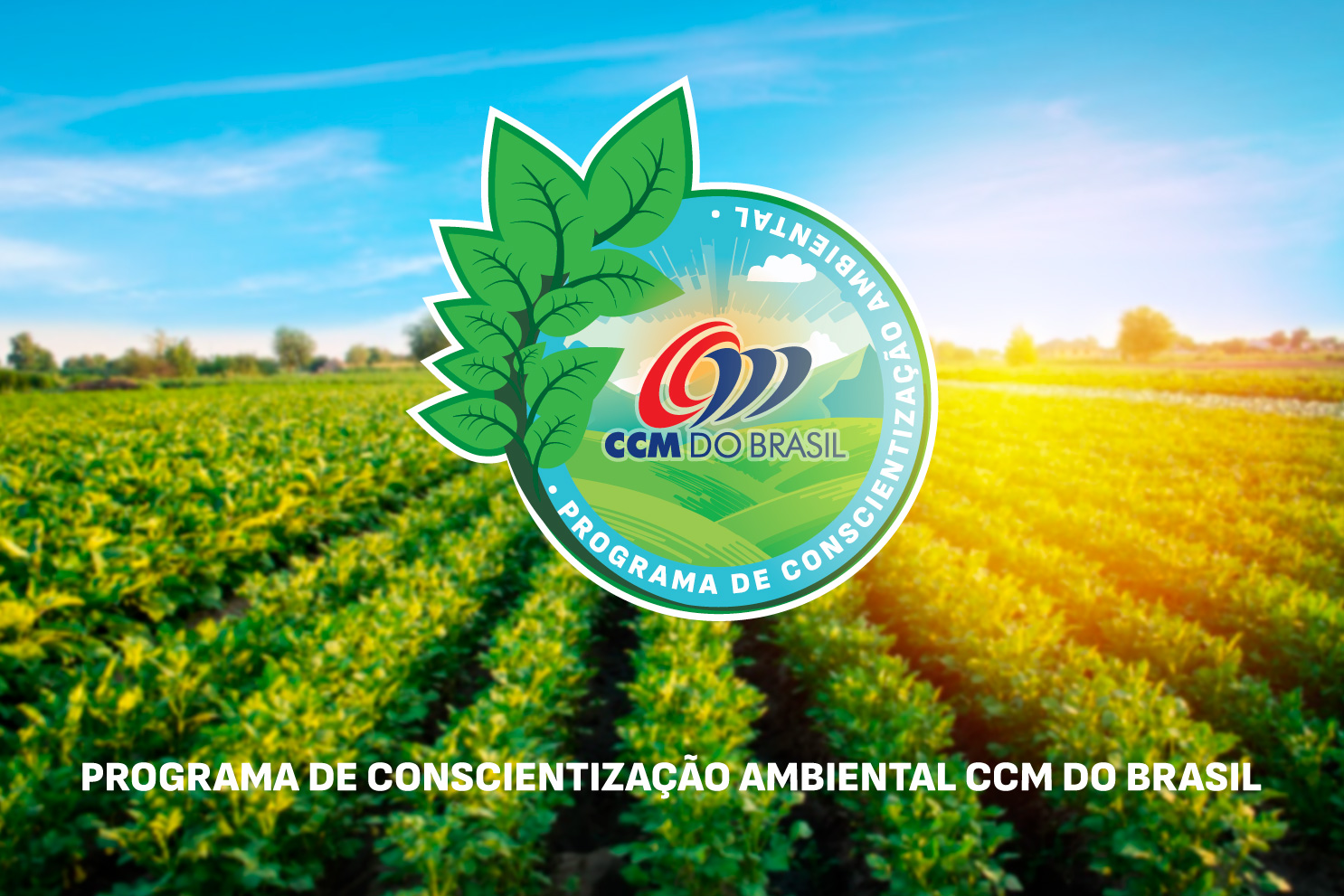 CCM do Brasil